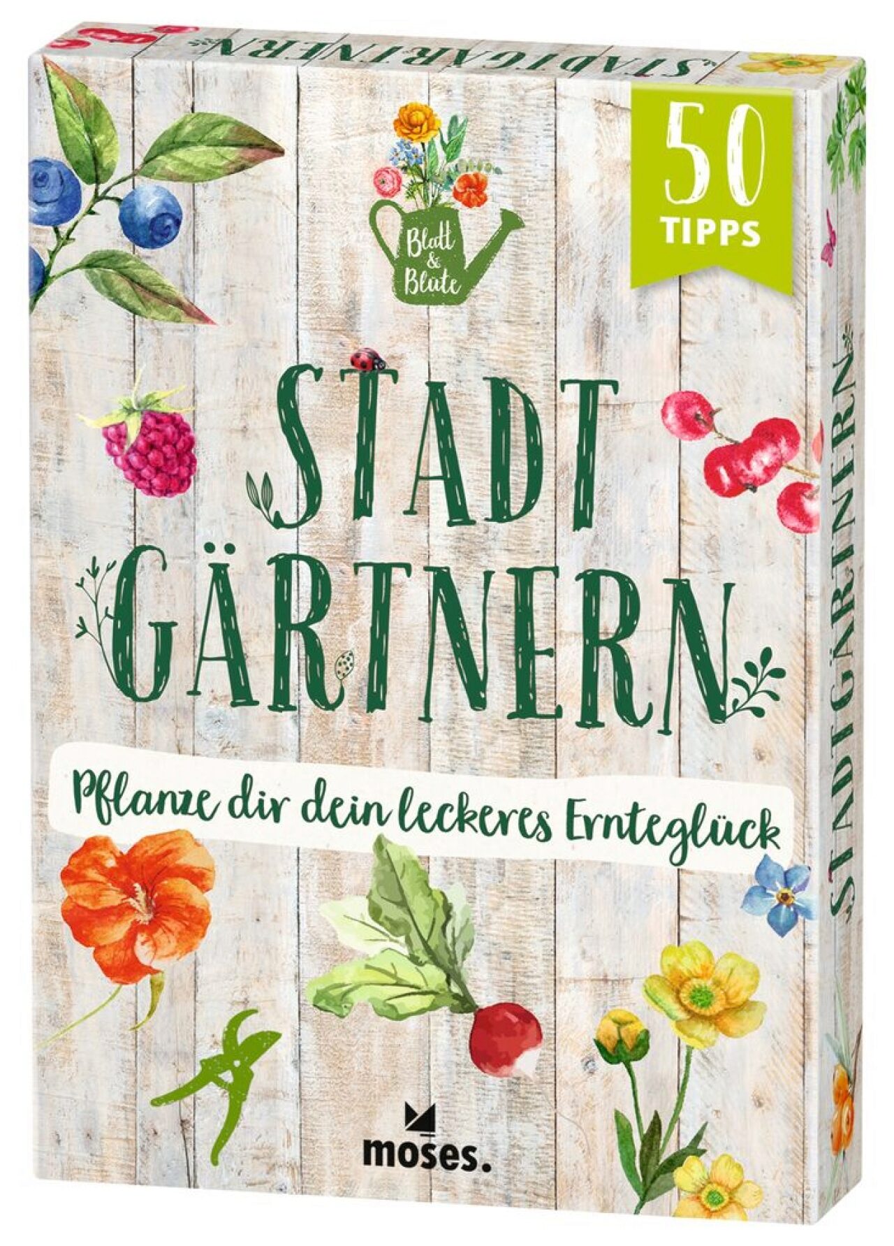 Moses Oftring:blatt & Blüte Stadtgärtnern, Ratgeber Von Bärbel Oftring, Christina Kölsch - Bild 3