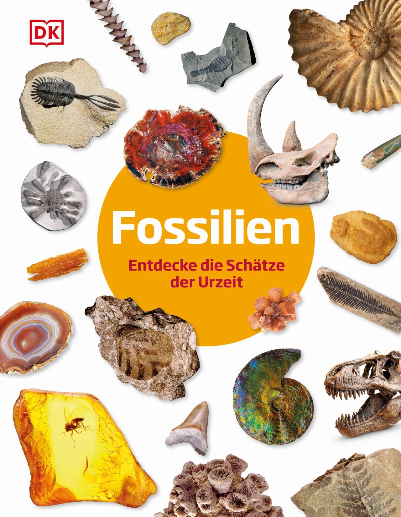 Dean Lomax ~ Fossilien - Bild 4