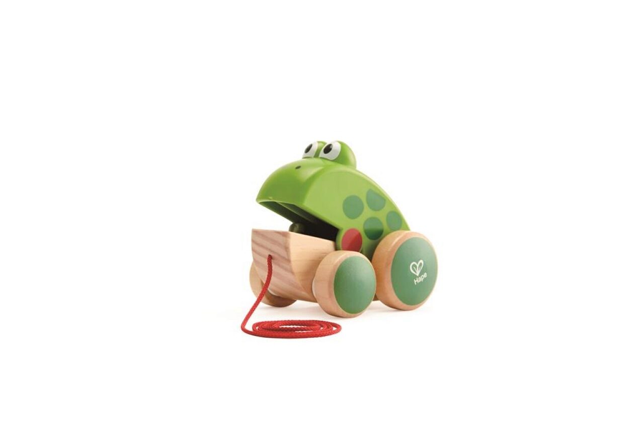 Hape E0361 Nachziehfrosch Fridolin - Image 5
