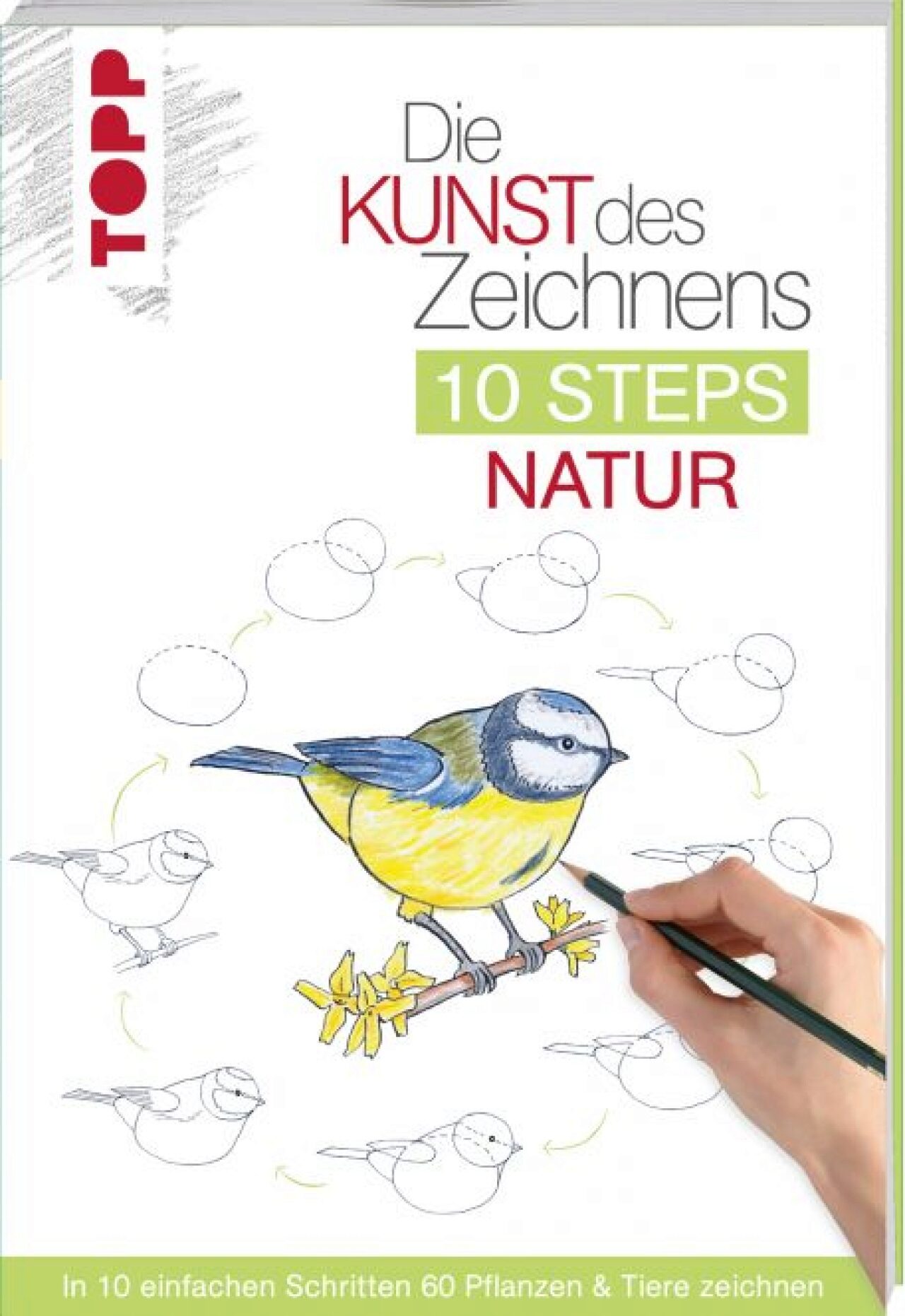 Frechverlag Topp 8392 Die Kunst Des Zeichnens 10 Steps - Natur