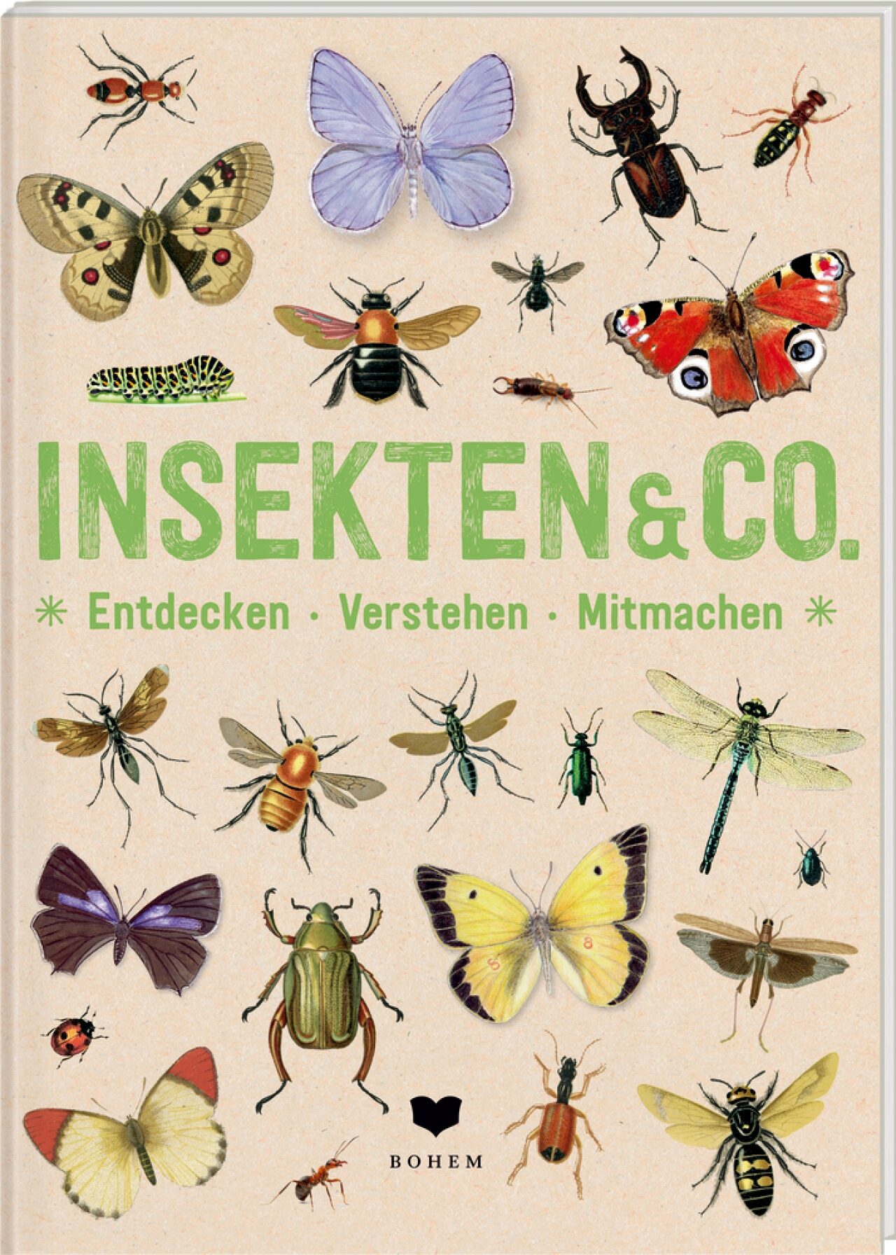 INSEKTEN & Co.: Entdecken - Verstehen - Mitmachen - Bild 3