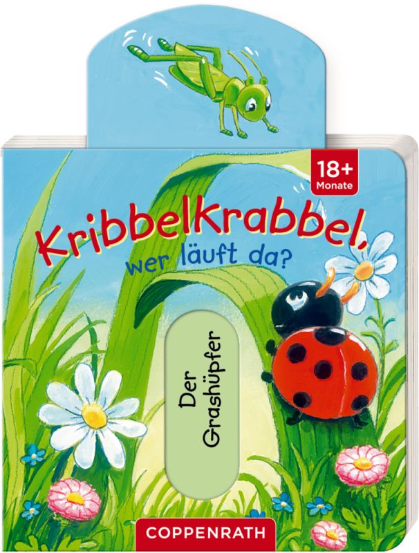 Mini-Pappe mit Schiebern: Kribbelkrabbel, wer läuft da? - Bild 4
