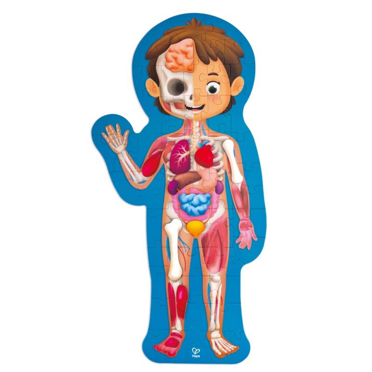 Puzzle - Mein Körper - 60 Teile - Bild 8
