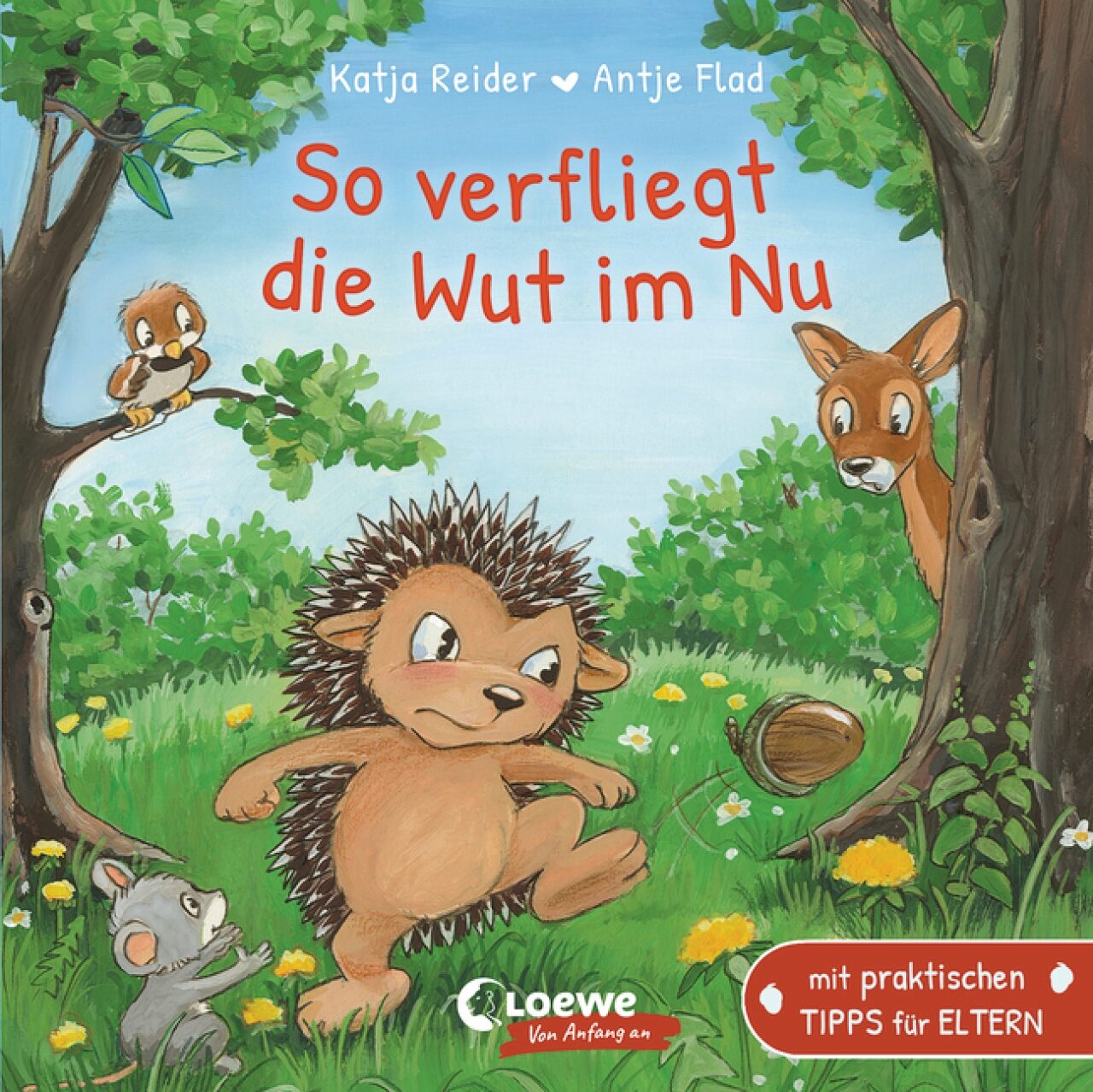 Loewe Verlag 978-3-7432-1039-4 Reider, So Verfliegt Die Wut Im Nu