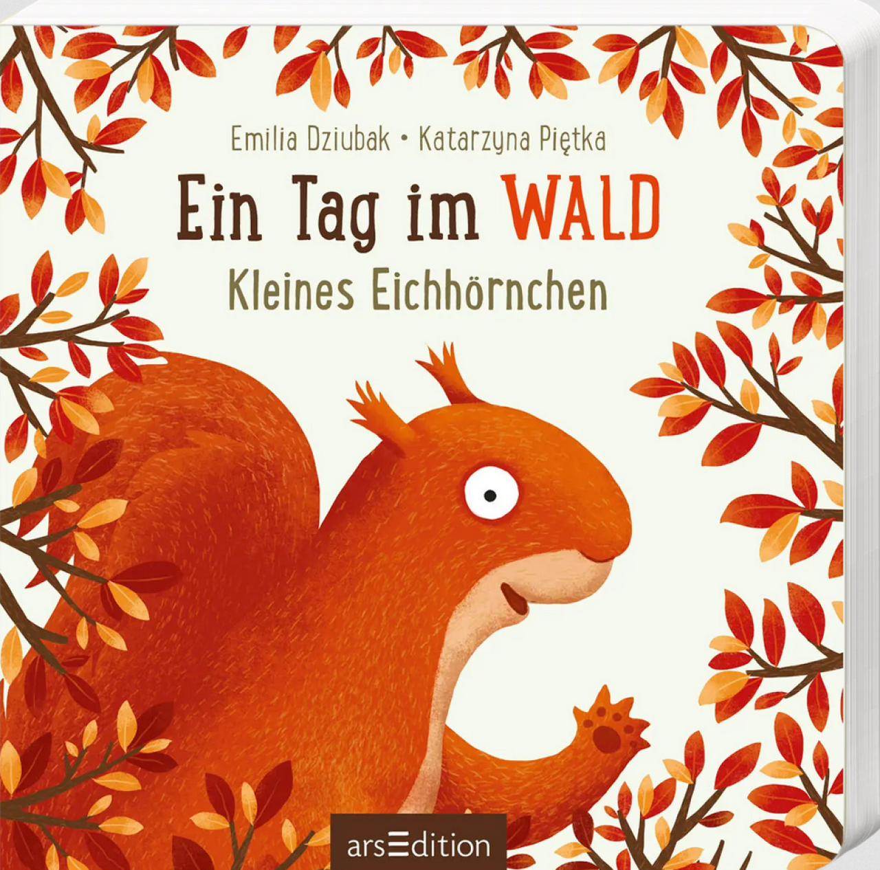 Ars Edition Arsedition 135524 Ein Tag Im Wald: Kleines Eichhörnchen - Bild 3