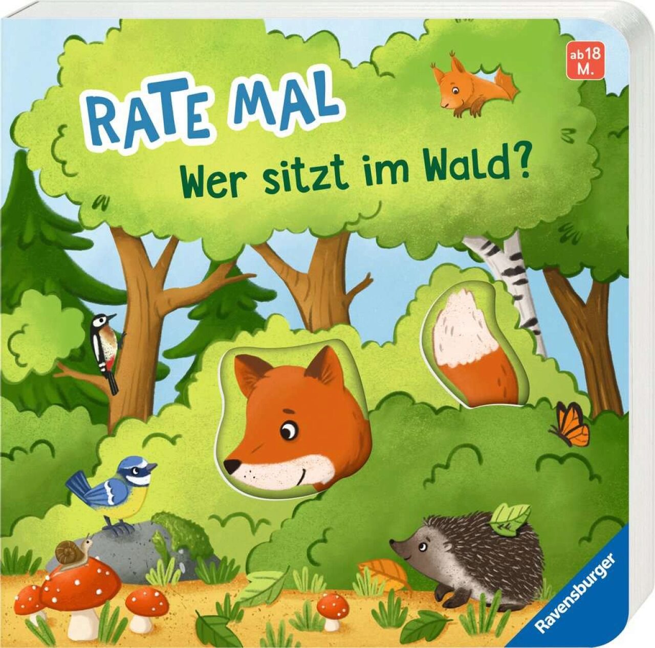 Ravensburger 41846 Pappbilderbuch Rate Mal: Wer Sitzt Im Wald?