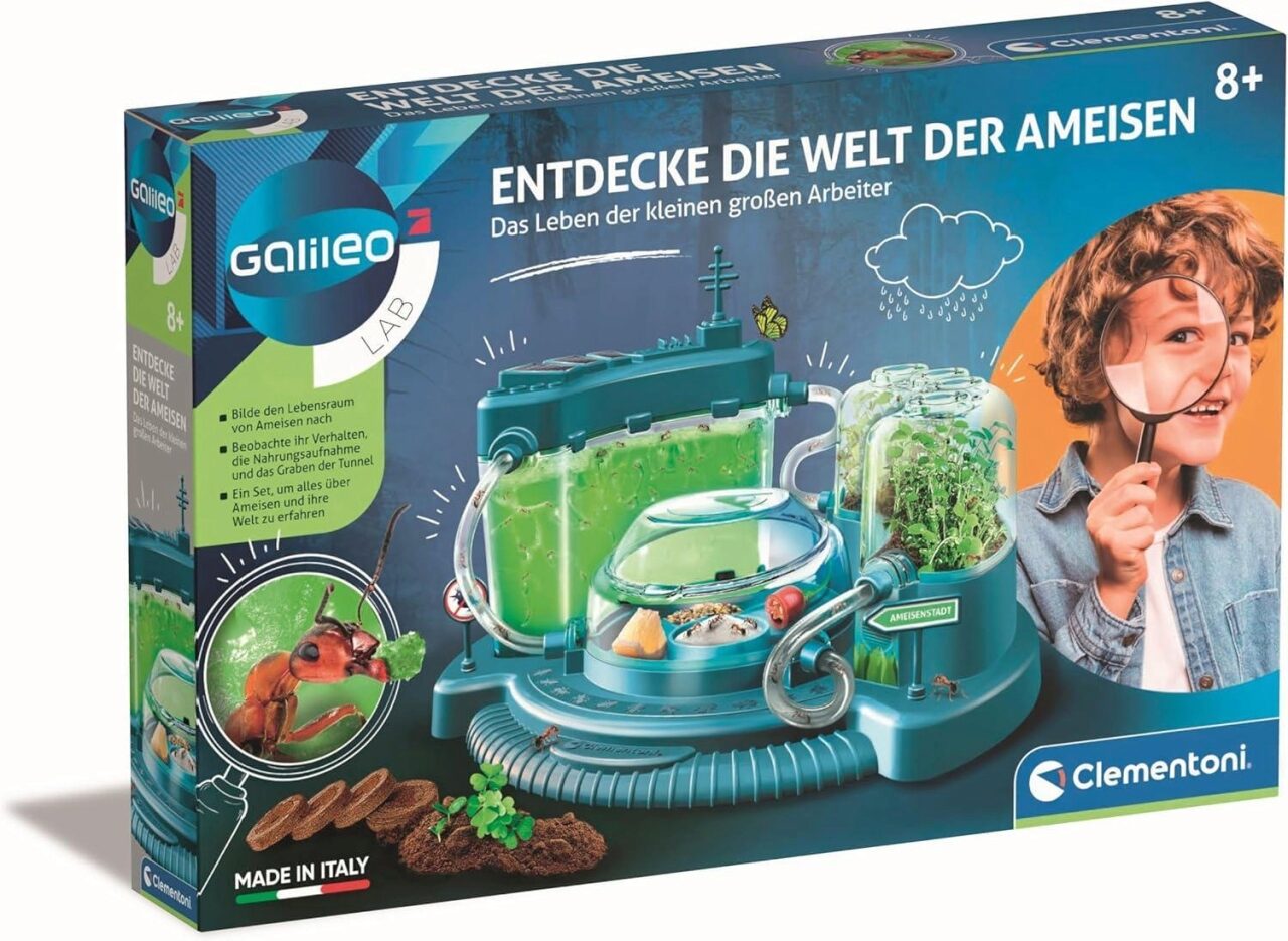Entdecke die Welt der Ameisen - Image 5