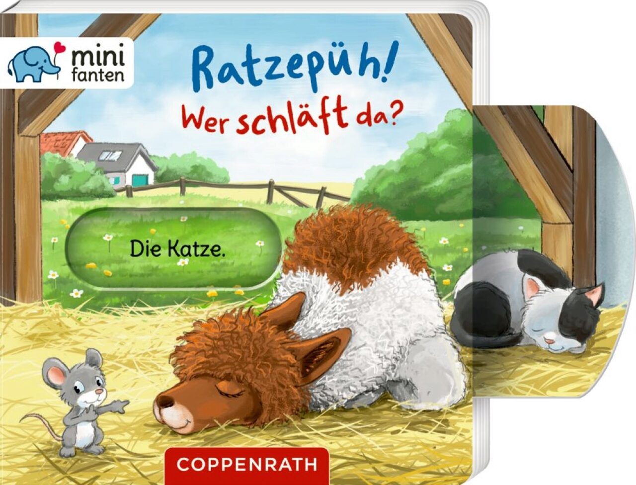 Coppenrath 67216 Minifanten 41: Ratzepüh! Wer Schläft Da? - Bild 4