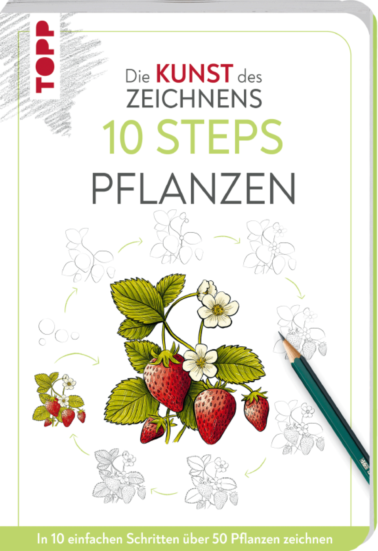 Frechverlag Topp 28189 Die Kunst Des Zeichnens 10 Steps - Pflanzen