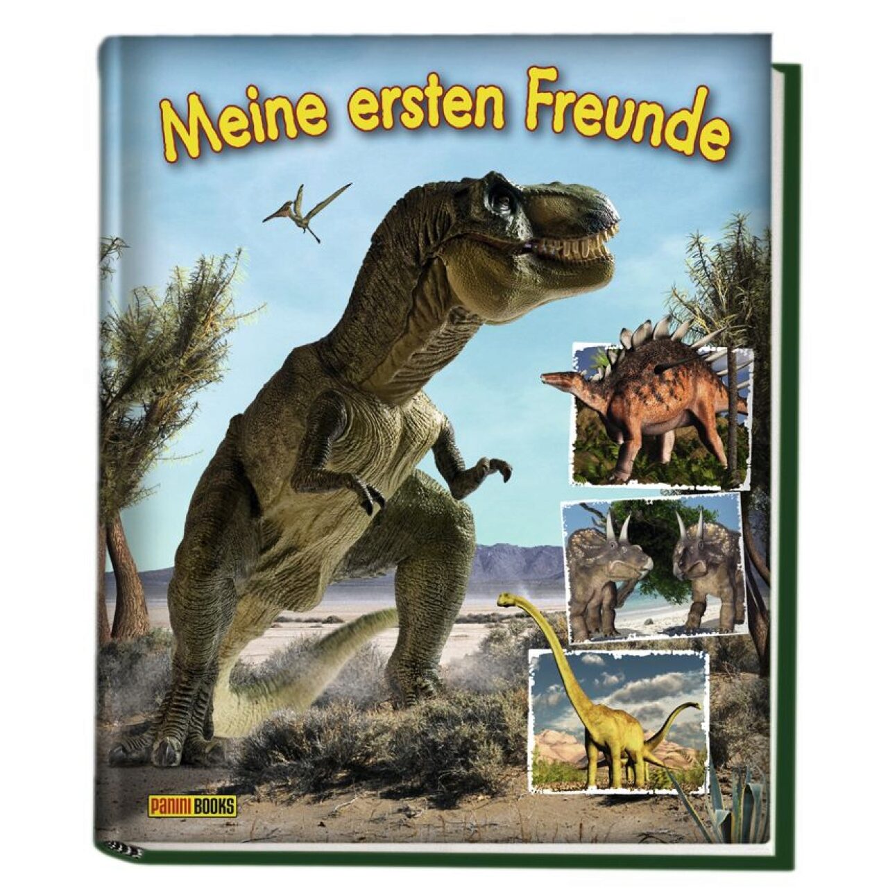 Panini 40224263 Dinosaurier Kindergartenfreundebuch - Bild 4