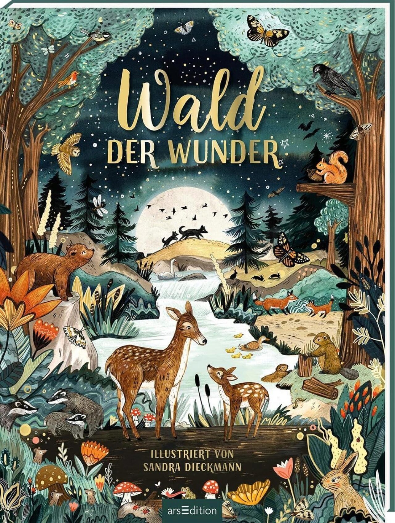 Sandra Dieckmann ~ Wald der Wunder - Bild 6