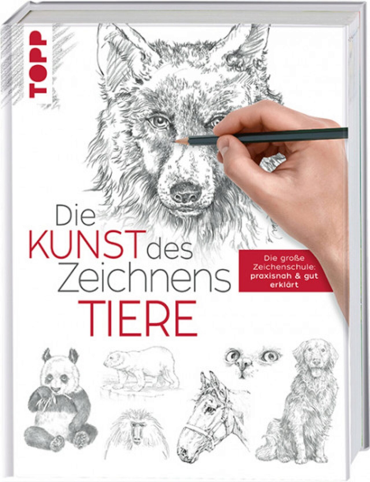 Frechverlag Topp 4752 Kunst Des Zeichnens Tiere