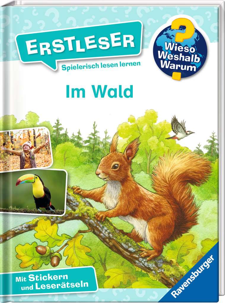 Wieso? Weshalb? Warum? Erstleser, Band 17 – Im Wald (2. Klasse, Erstlesebuch ab 7 Jahren - mit Stickern und Leserätseln) (Erstleser, 17) - Bild 5
