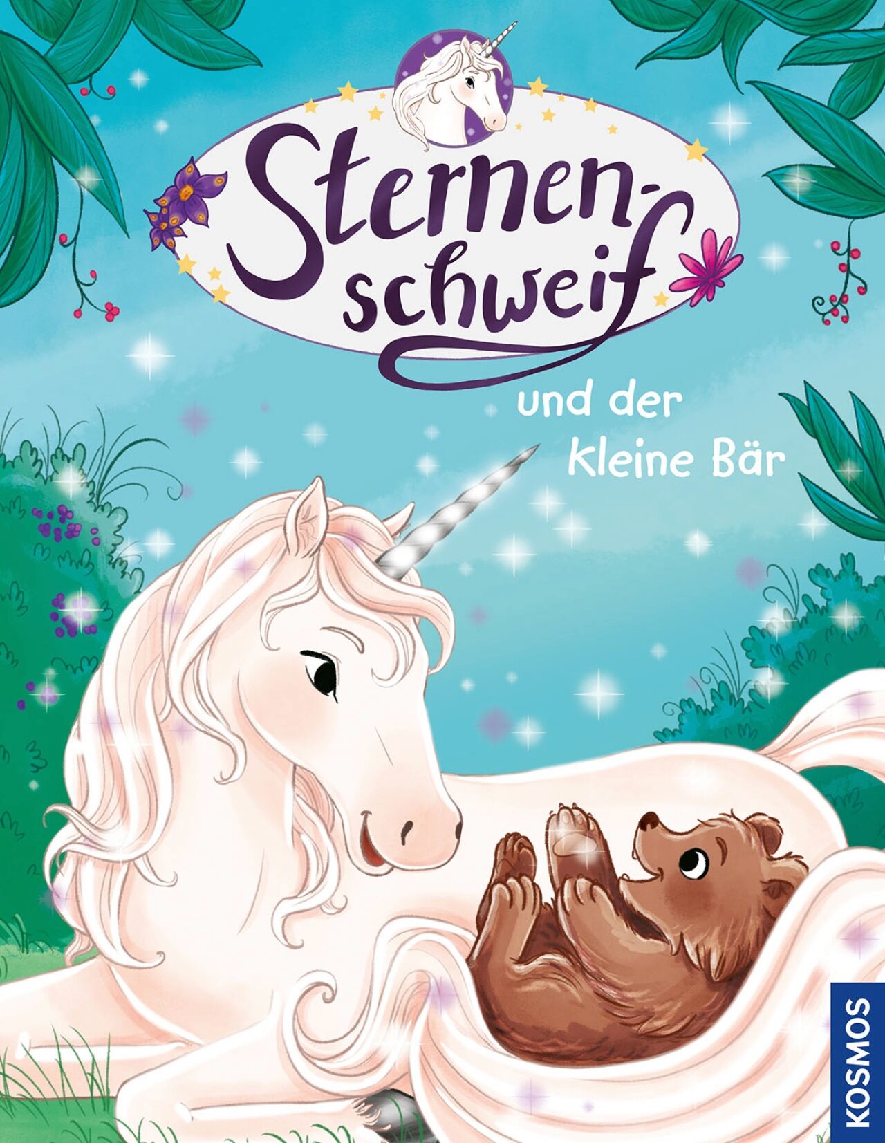 Kosmos 175842 Sternenschweif Und Der Kleine Bär