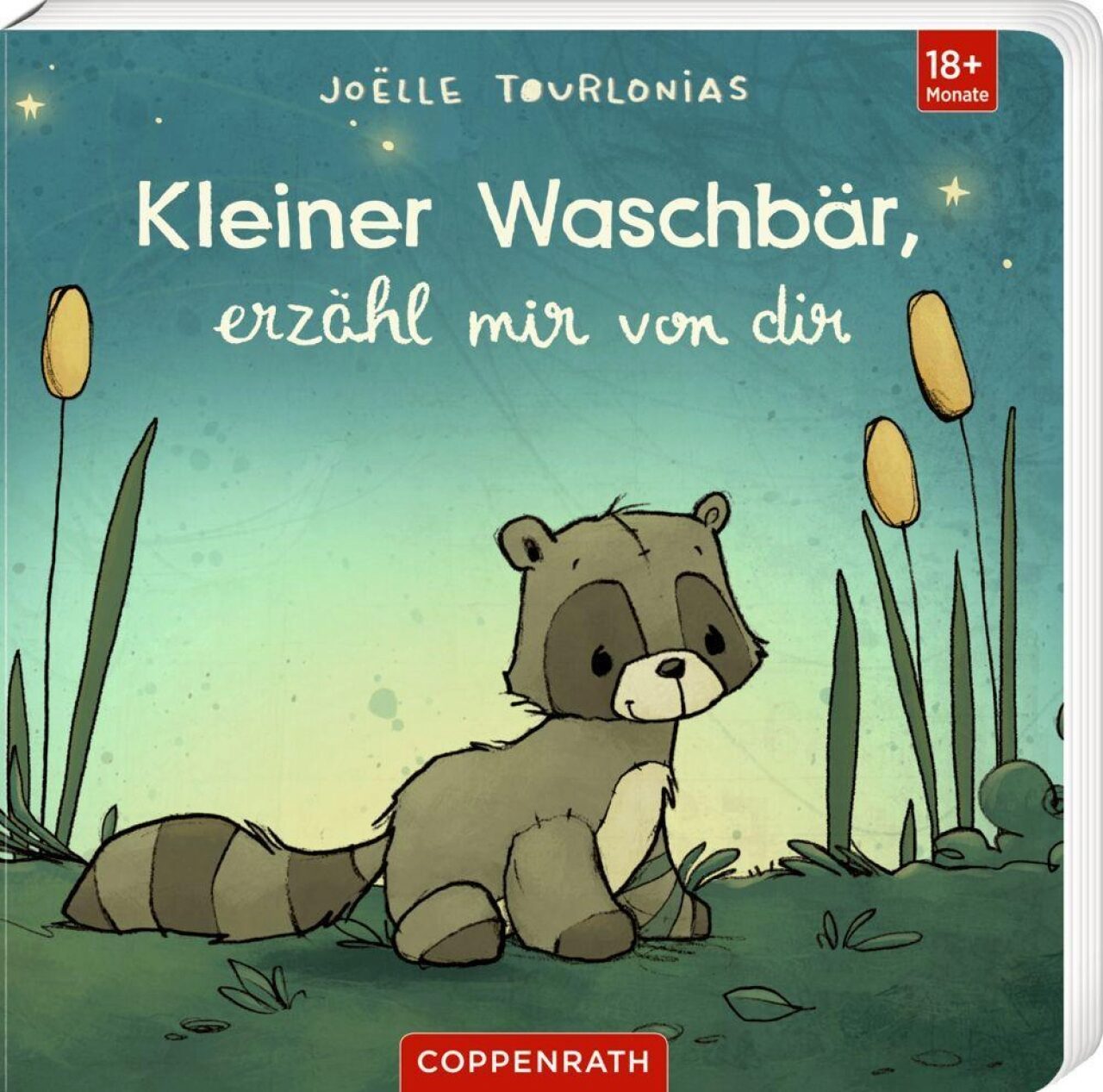 Coppenrath 65023 Liebling: Kleiner Waschbär, Erzähl Mir Von Dir