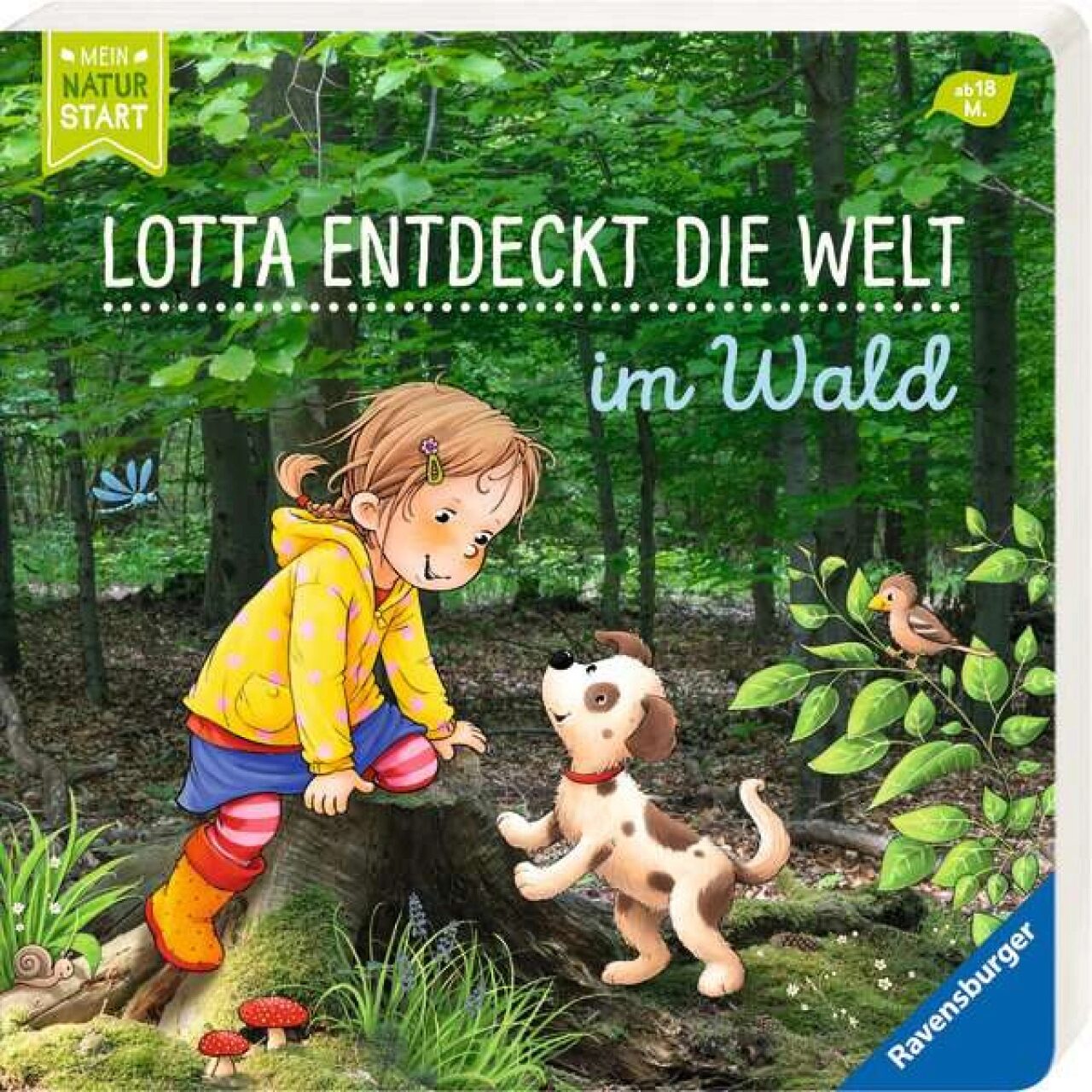 Lotta entdeckt die Welt: Im Wald - erste Vorlesegeschichten über Lotta im Wald, in einzigartiger Optik (Mischung aus Foto und Illustration), Buch für Kinder ab 18 Monate - Bild 4