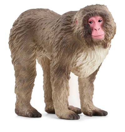 Schleich 14871 WILD LIFE Japanmakak NEU & OVP - Image 9
