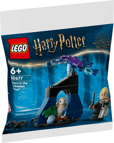 Lego Polybag Harry Potter 30677 Draco im verbotenem Wald Eule Spinne NEU NEW - Bild 17