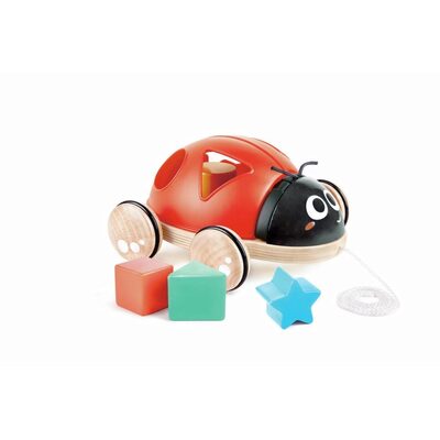 Hape Rot/Weiss/Braun Formensortierer Marienkäfer - Bild 6