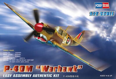 Hobby Boss P-40M Kitty Hawk - Bild 4