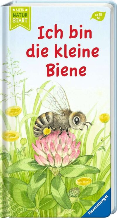 Sandra Grimm ~ Ich bin die kleine Biene - Bild 9