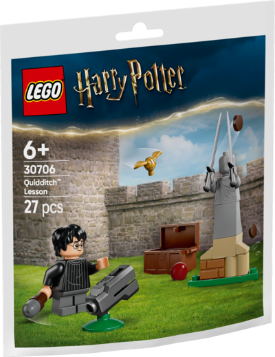 LEGO® Harry Potter™ 30706 Quidditch Training - Bild 22