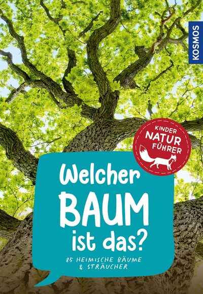 Welcher Baum ist das? Kindernaturführer Holger Haag - Bild 8